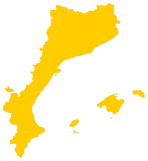 Declaracio De Principis Declaracio De Principis Cap A La Independencia declaracio de principis declaracio de principis cap a la independencia